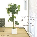 フェイクグリーン 観葉植物 とりよせ品 【メーカー直送品】 モンステラポット 173cm《代引不可・他商品との同梱不可》 観葉植物 1.7m 大型 人工観葉 ア...