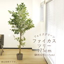 フェイクグリーン 観葉植物 とりよせ品 【メーカー直送品】 ファイカスツリー (ポット付) 175cm《代引不可・他商品との同梱不可》 観葉植物 1.7m 春 ...