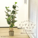 フェイクグリーン 観葉植物 とりよせ品 【メーカー直送】インディアンアーモンド(ポット付)146cm《代引不可・他商品との同梱不可》 観葉植物 1.4m 春 ア...