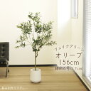 フェイクグリーン 観葉植物 とりよせ品 【メーカー直送】オリーブ(ポット付)156cm《代引不可・他商品との同梱不可》 観葉植物 1.5m 大型 おしゃれ 春 ...