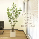 フェイクグリーン 観葉植物 とりよせ品 【メーカー直送】バーチツリー(ポット付) 180cm《代引不可・他商品との同梱不可》 観葉植物 1.8m 大型 白樺 ア...