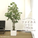 フェイクグリーン 観葉植物 とりよせ品 【メーカー直送】ファイカスツリー(ポット付) 190cm《代引不可・他商品との同梱不可》 観葉植物 1.9m 大型 春 ...