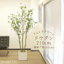 フェイクグリーン 観葉植物 とりよせ品 【メーカー直送】ドウダン(ポット付) 210cm《代引不可・他商品との同梱不可》 観葉植物 2m 大型 おしゃれ 春 ア...