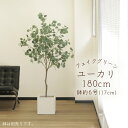 フェイクグリーン 観葉植物 とりよせ品 【メーカー直送】ユーカリ(ポット付)180cm《代引不可・他商品との同梱不可》 観葉植物 1.8m 大型 おしゃれ 春 ...