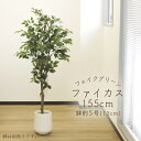 フェイクグリーン 観葉植物 とりよせ品 【メーカー直送品】ファイカス(ポット付) 155cm《代引決済・他商品と同梱不可》 観葉植物 1.5m 大型 おしゃれ ...