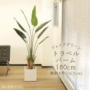 フェイクグリーン 観葉植物 とりよせ品 【メーカー直送品】トラベルパーム(ポット付)180cm《代引決済・他商品と同梱不可》 観葉植物 1.8m 大型 安い ア...