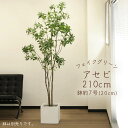 フェイクグリーン 観葉植物 とりよせ品 【メーカー直送品】アセビ(ポット付) 210cm《代引決済・他商品と同梱不可》 観葉植物 2m 大型 おしゃれ 安い ア...