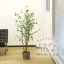 フェイクグリーン 観葉植物 とりよせ品 【メーカー直送】 ドウダン(ポット付) 153cm 《代引不可・他商品との同梱不可》 観葉植物 1.5m 大型 おしゃれ...