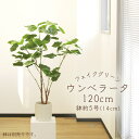 フェイクグリーン 観葉植物 とりよせ品 【メーカー直送品】ウンベラータ(ポット付)《代引決済・他商品と同梱不可》 観葉植物 1.2m 120cm 大型 安い ア...