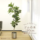 フェイクグリーン 観葉植物 とりよせ品 【メーカー直送品】ゴムの木(ポット付)《代引決済・他商品と同梱不可》 観葉植物 1.8m 180cm 大型 おしゃれ ア...