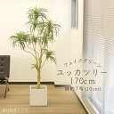 フェイクグリーン 観葉植物 とりよせ品 【メーカー直送品】 ユッカツリー (ポット付) 170cm《代引不可・他商品との同梱不可》 観葉植物 1.8m 大型 ア...