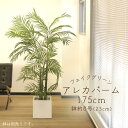 フェイクグリーン 観葉植物 とりよせ品 【メーカー直送品】 アレカパーム(S) (ポット付) 175cm《代引不可・他商品との同梱不可》 観葉植物 1.8m 春...