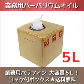 ★即日出荷★ ハーバリウム 【業務用パラフィン】 5L（5000ml）ボックス 流動パラフィン ミネラルオイル ハーバリウムオイル オイル 資材 大容量 高品質 高純度 液 バロンボックス 体験 ワークショップ ハンドメイド 母の日