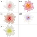 プリザーブドフラワー 花材 とりよせ品 ことね菊(1箱6輪入り) 花材 素材 パーツ 材料 ドライフラワー 菊 小菊 仏花 和モダン 和風 正月 迎春 正月飾り 迎春飾り ハーバリウム プリザーブドローズ ブリザーブド Preserving ナチュラル スワッグ 大地農園