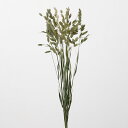 ドライフラワー 花材 とりよせ品 ワイルドオーツ 花材 素材 材料 パーツ 穂もの ピンク 青 ブルー グリーン 白 ホワイト シルバー 銀色 ドライフラワー ...