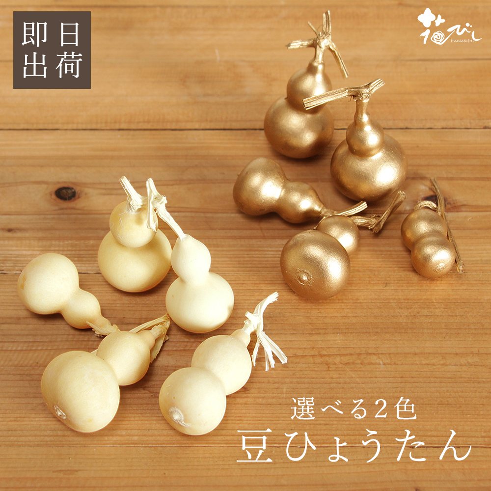ドライフラワー 花材 即日出荷 豆ひょうたん 花材 素材 材料 パーツ アジサイ あじさい ゴールド パープル レッド ホワイト 白 赤 紫 ベージュ シャンパンゴールド 紫陽花 花びら プリザーブドフラワー スワッグ ブーケ ドライフラワー 花束 DIY 大地農園のサムネイル