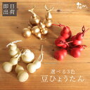 ★P10倍 10/14 20時から★ ドライフラワー 花材 即日出荷 豆ひょうたん 花材 素材 材料 パーツ アジサイ あじさい ゴールド パープル レッド ホ...
