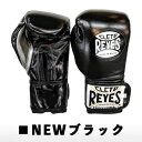 REYESボクシンググローブ マジックテープ式 (NEWブラック)