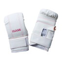 【ISAMI イサミ】SS-801 レディースグローブ