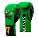 yTITLEz WBC Pro Fight Leather Gloves