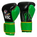 yTITLEzBoxing WBC Training Gloves