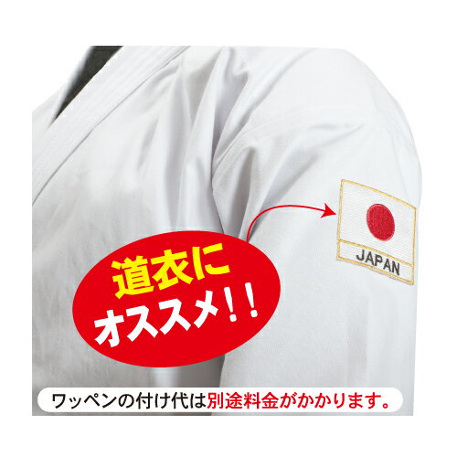 【ISAMI イサミ】WP-02 日の丸JAPAN刺繍ワッペン 3
