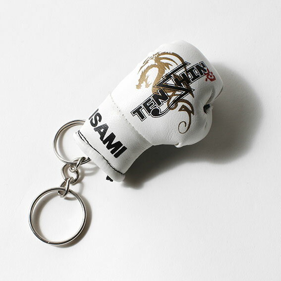 ��ISAMI �����ߡ�TP-005 ŷ���������֥����ۥ����