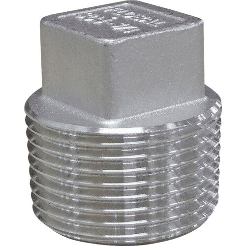 フローバル(FLOBAL) プラグ(SCS13A) 041007