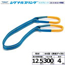 東レ シグナルスリングHG SG4E 両端アイ形 12.5ton 幅300mm 長さ4m SG4E300-4.0【メーカー直送】
