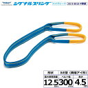 東レ シグナルスリングHG SG4E 両端アイ形 12.5ton 幅300mm 長さ4.5m SG4E300-4.5【メーカー直送】