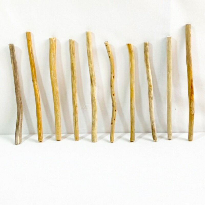 流木 棒 枝 30cm以内 インテリア 観葉植物 ハンギング ハンガー 吊り下げ 壁掛け 園芸 1m以下 長い 短..