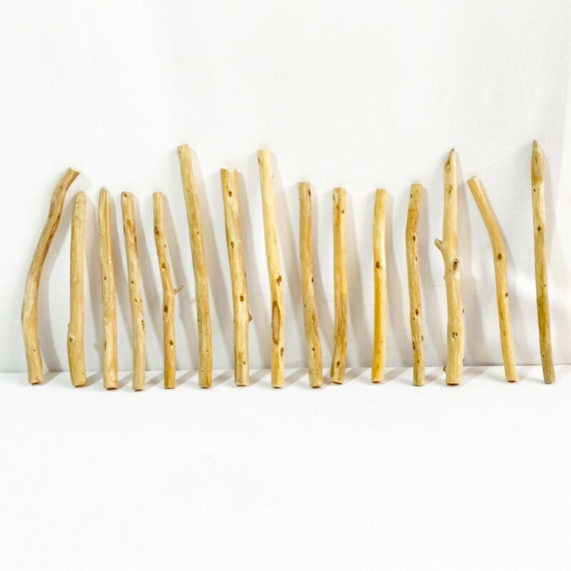 流木 棒 枝 30cm以内 インテリア 観葉植物 ハンギング ハンガー 吊り下げ 壁掛け 園芸 1m以下 長い 短..