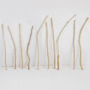 流木 棒 枝 30cm~50cm インテリア 観葉植物 ハンギング ハンガー 吊り下げ 壁掛け 園芸 1m以下 長い 短い 太い 細い 大 中 小 流木アート DIY 吊るす 玄関 素材 現物画像 1点物 ウッドスティック 棒状流木 インテリア