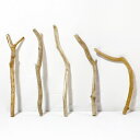 流木 棒 枝 30cm~50cm インテリア 観葉植物 ハンギング ハンガー 吊り下げ 壁掛け 園芸 1m以下 長い 短い 太い 細い 大 中 小 流木アート DIY 吊るす 玄関 素材 現物画像 1点物 ウッドスティック 棒状流木 インテリア