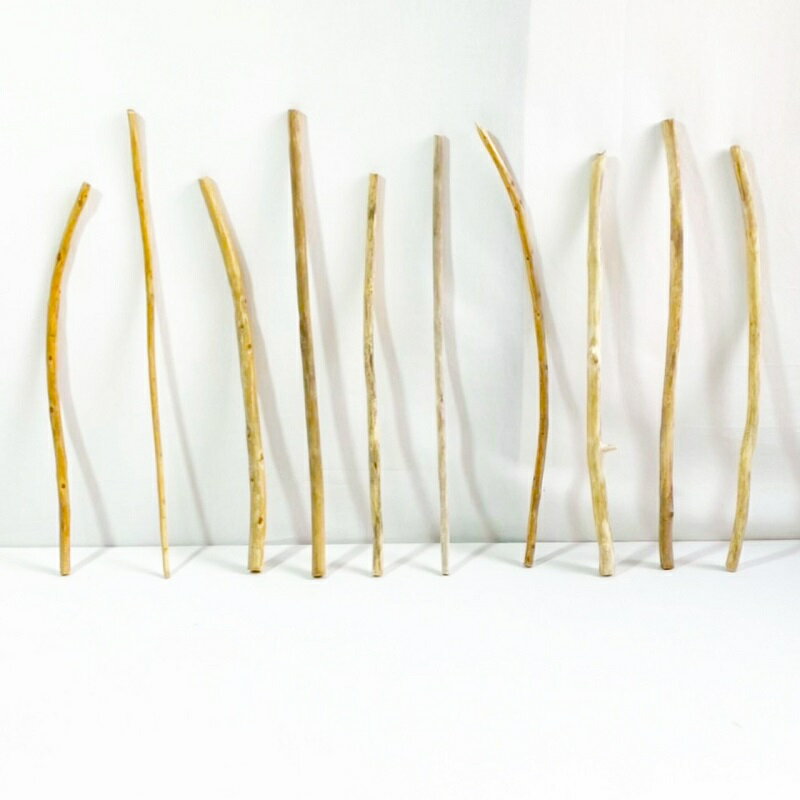 流木 棒 枝 30cm～50cm インテリア 観葉植物 ハンギング ハンガー 吊り下げ 壁掛け 園芸 1m以下 長い ..