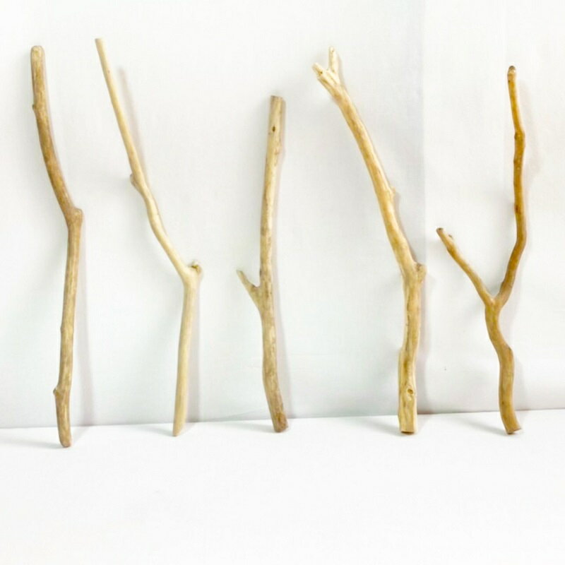 流木 棒 枝 30cm～50cm インテリア 観葉植物 ハンギング ハンガー 吊り下げ 壁掛け 園芸 1m以下 長い ..