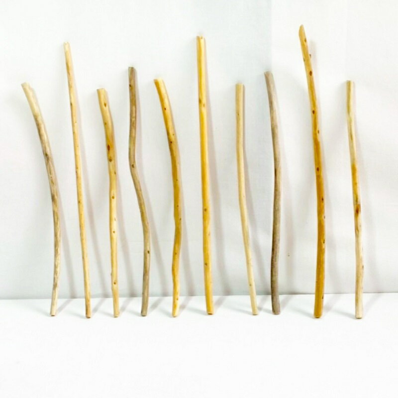 流木 棒 枝 30cm～50cm インテリア 観葉植物 ハンギング ハンガー 吊り下げ 壁掛け 園芸 1m以下 長い ..