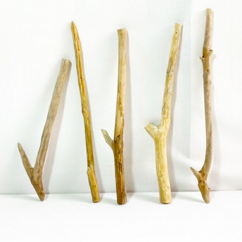 流木 棒 枝 30cm～50cm インテリア 観葉植物 ハンギング ハンガー 吊り下げ 壁掛け 園芸 1m以下 長い ..
