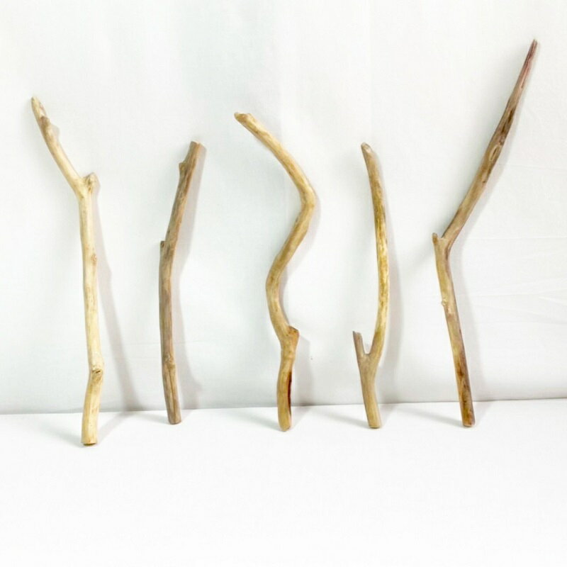 流木 棒 枝 30cm～50cm インテリア 観葉植物 ハンギング ハンガー 吊り下げ 壁掛け 園芸 1m以下 長い ..