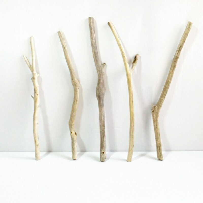流木 棒 枝 30cm～50cm インテリア 観葉植物 ハンギング ハンガー 吊り下げ 壁掛け 園芸 1m以下 長い 短い 太い 細い 大 中 小 流木アート DIY 吊るす 玄関 素材 現物画像 1点物 ウッドスティック 棒状流木 インテリア