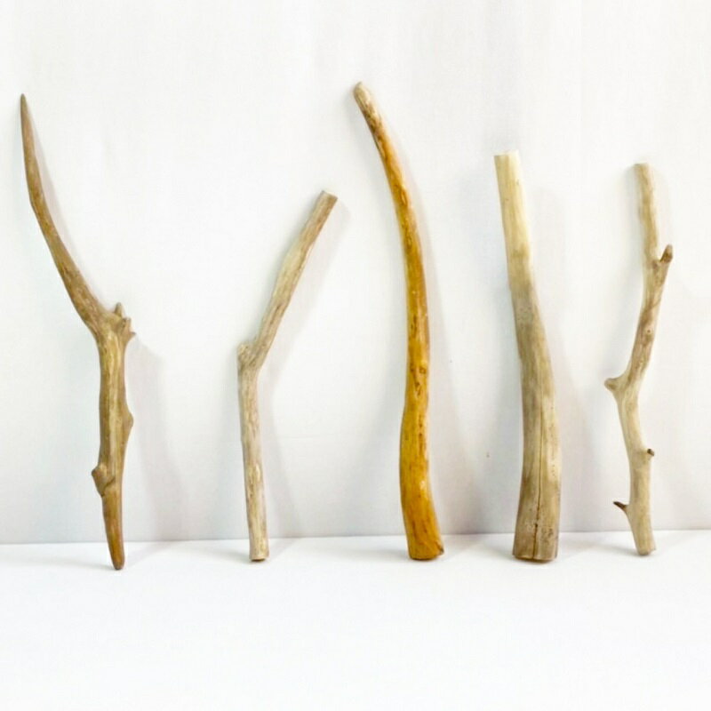 流木 棒 枝 30cm～50cm インテリア 観葉植物 ハンギング ハンガー 吊り下げ 壁掛け 園芸 1m以下 長い 短い 太い 細い 大 中 小 流木アート DIY 吊るす 玄関 素材 現物画像 1点物 ウッドスティック 棒状流木 インテリア