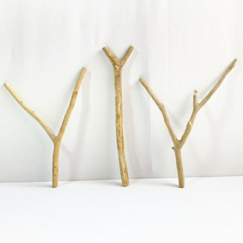 流木 棒 枝 30cm～50cm インテリア 観葉植物 ハンギング ハンガー 吊り下げ 壁掛け 園芸 1m以下 長い 短い 太い 細い 大 中 小 流木アート DIY 吊るす 玄関 素材 現物画像 1点物 ウッドスティック 棒状流木 インテリア