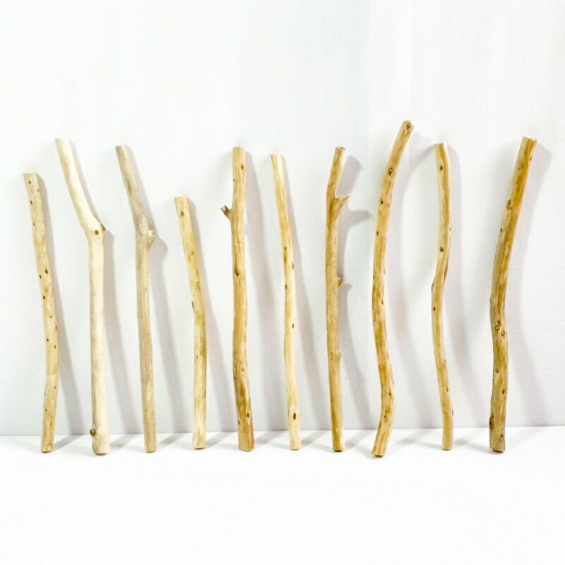 流木 棒 枝 30cm～50cm インテリア 観葉植物 ハンギング ハンガー 吊り下げ 壁掛け 園芸 1m以下 長い 短い 太い 細い 大 中 小 流木アート DIY 吊るす 玄関 素材 現物画像 1点物 ウッドスティック 棒状流木 インテリア