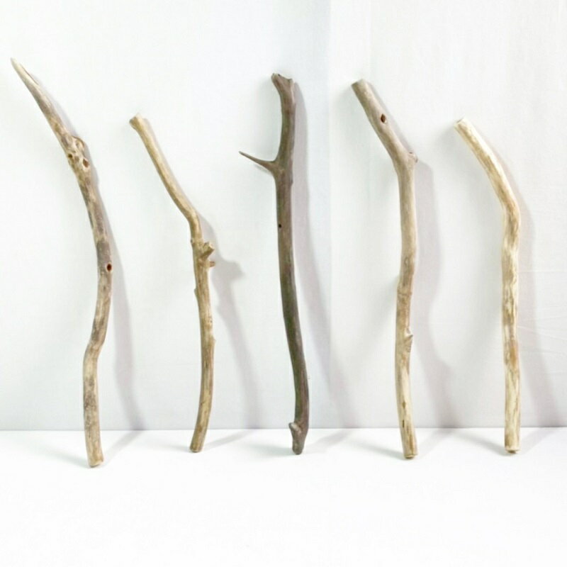 流木 棒 枝 30cm～50cm インテリア 観葉植物 ハンギング ハンガー 吊り下げ 壁掛け 園芸 1m以下 長い 短い 太い 細い 大 中 小 流木アート DIY 吊るす 玄関 素材 現物画像 1点物 ウッドスティック 棒状流木 インテリア