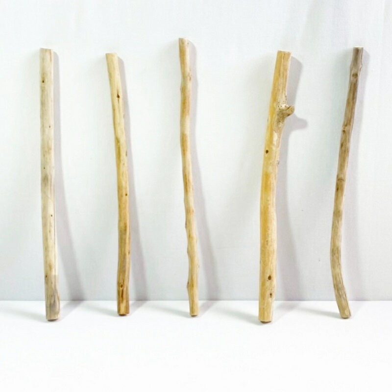 流木 棒 枝 30cm～50cm インテリア 観葉植物 ハンギング ハンガー 吊り下げ 壁掛け 園芸 1m以下 長い 短い 太い 細い 大 中 小 流木アート DIY 吊るす 玄関 素材 現物画像 1点物 ウッドスティック 棒状流木 インテリア