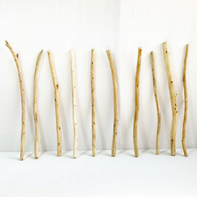 流木 棒 枝 30cm～50cm インテリア 観葉植物 ハンギング ハンガー 吊り下げ 壁掛け 園芸 1m以下 長い 短い 太い 細い 大 中 小 流木アート DIY 吊るす 玄関 素材 現物画像 1点物 ウッドスティック 棒状流木 インテリア