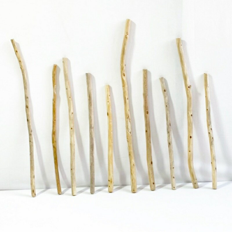 Wood, Workshop - 流木 棒 枝 30cm～50cm インテリア 観葉植物 ハンギング ハンガー 吊り下げ 壁掛け 園芸 1m以下 長い 短い 太い 細い 大 中 小 流木アート DIY 吊るす 玄関 素材 現物画像 1点物 ウッドスティック 棒状流木 インテリア タペストリー素材