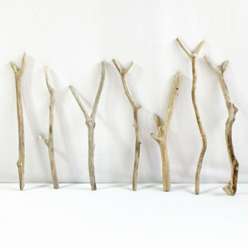 樂天商城 - 流木 棒 枝 30cm～50cm インテリア 観葉植物 ハンギング ハンガー 吊り下げ 壁掛け 園芸 1m以下 長い 短い 太い 細い 大 中 小 流木アート DIY 吊るす 玄関 素材 現物画像 1点物 ウッドスティック 棒状流木 インテリア タペストリー素材