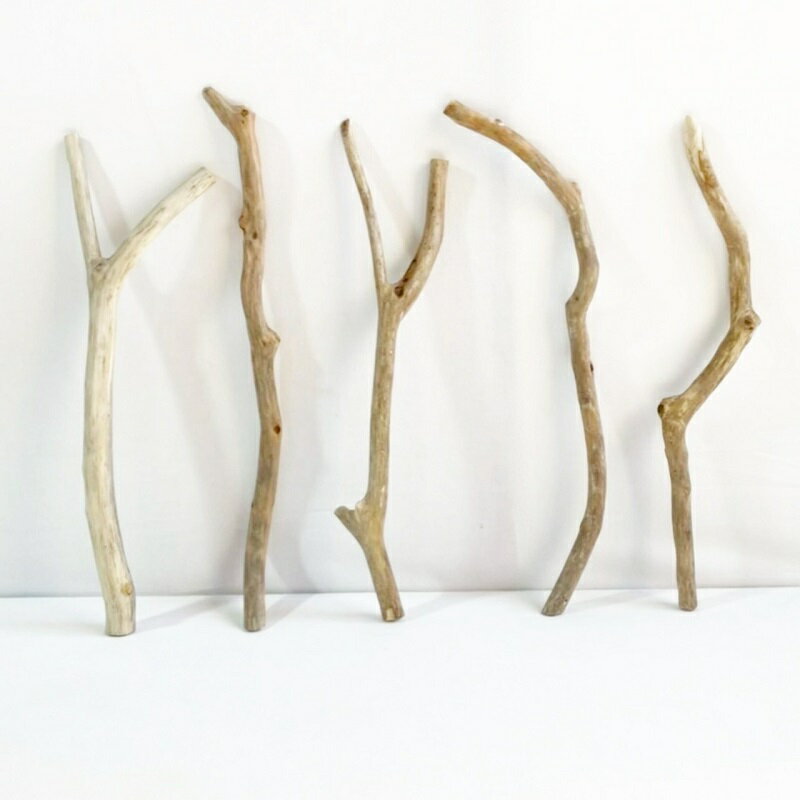 樂天商城 - 流木 棒 枝 30cm～50cm インテリア 観葉植物 ハンギング ハンガー 吊り下げ 壁掛け 園芸 1m以下 長い 短い 太い 細い 大 中 小 流木アート DIY 吊るす 玄関 素材 現物画像 1点物 ウッドスティック 棒状流木 インテリア タペストリー素材
