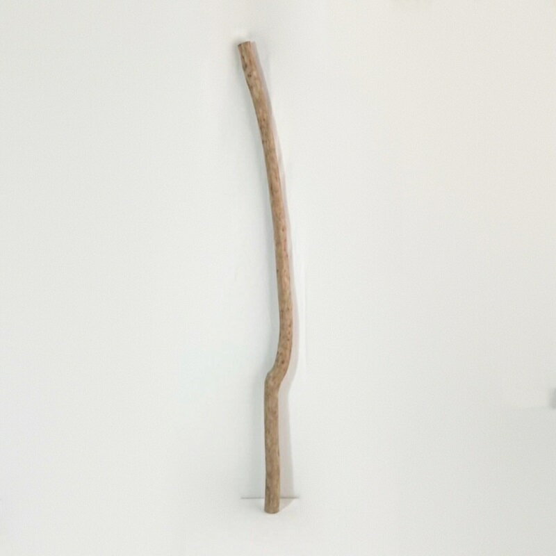 流木 特大 ハンギング 棒 素材 インテリア 1点物 棒流木 オブジェ レイアウト DIY_boe0593